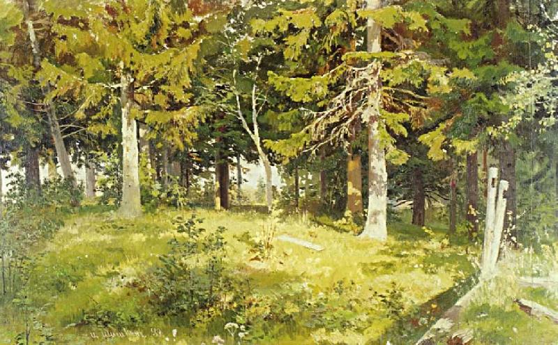 Ivan Shishkin Glade in a Forest Norge oil painting art